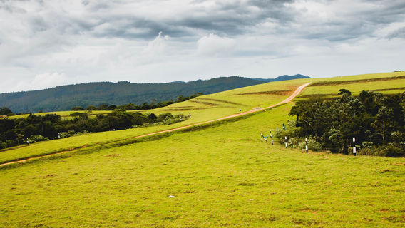 Nuwara Eliya District