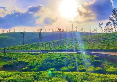 Coimbatore