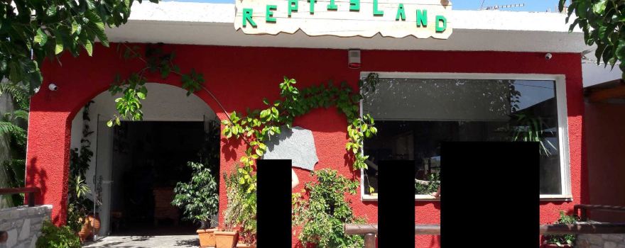 Reptisland