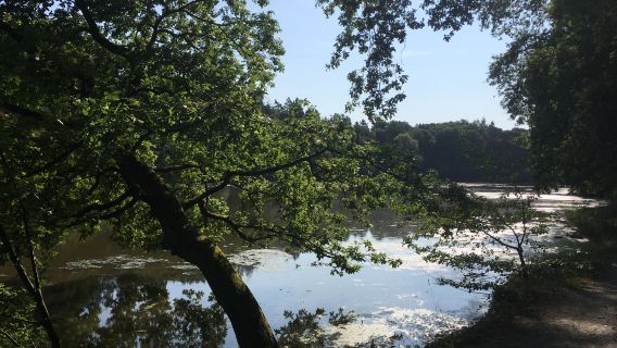 Parc de la Garenne