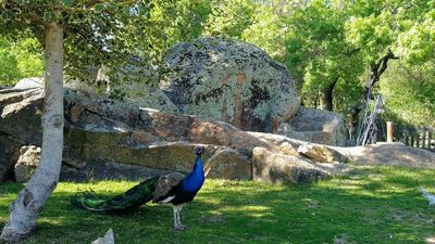 Parque de los Pinos
