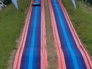 National Forest Adventure Farm