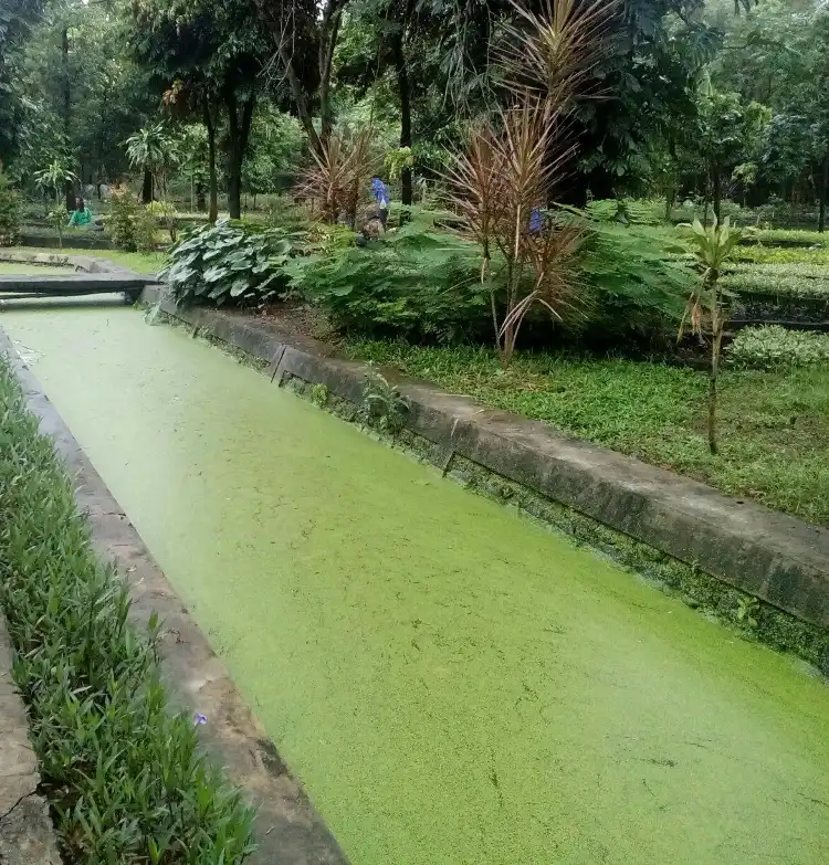 Các khách sạn ở Rungkut