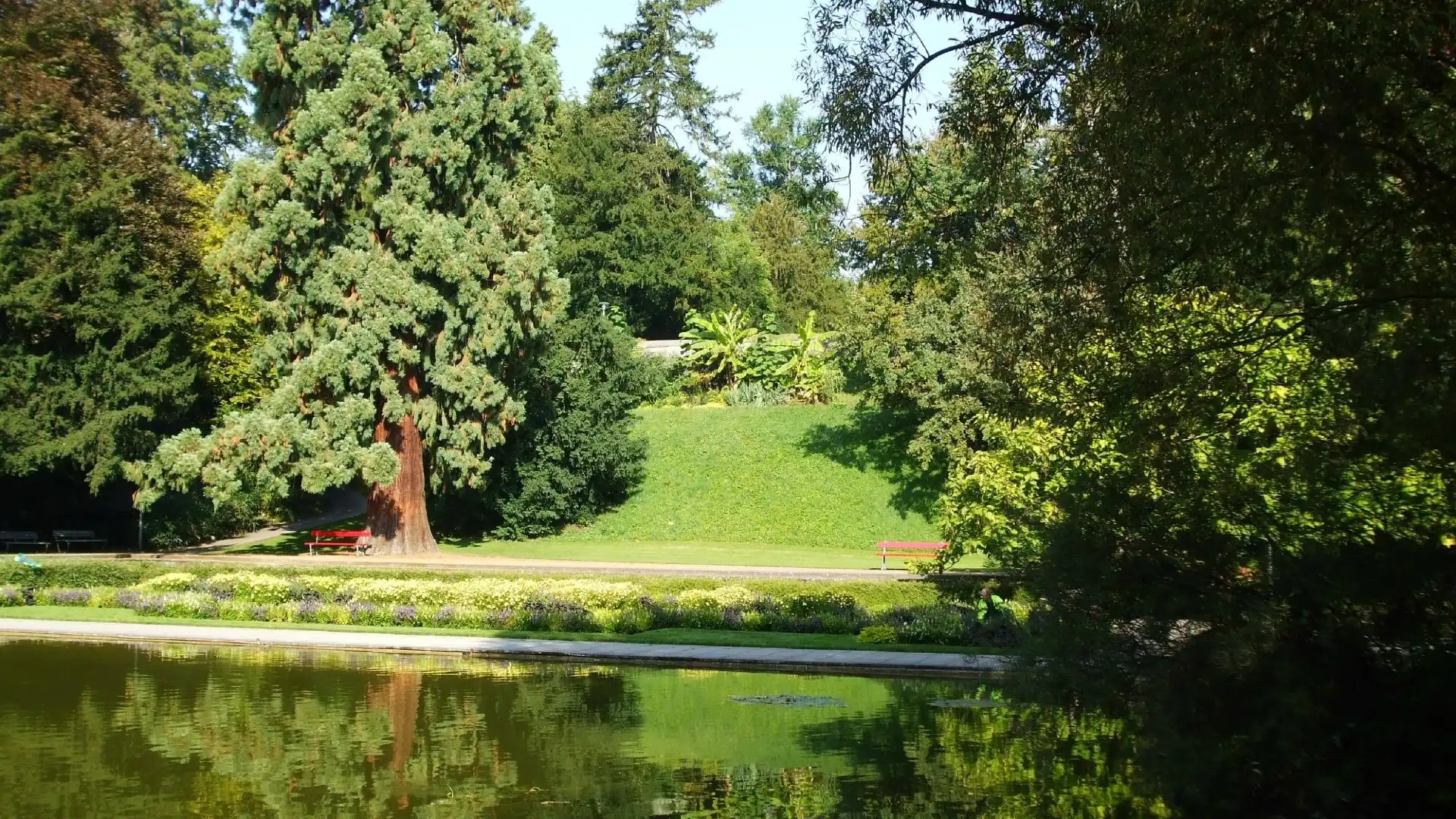 Hotel in zona Belvoir Park