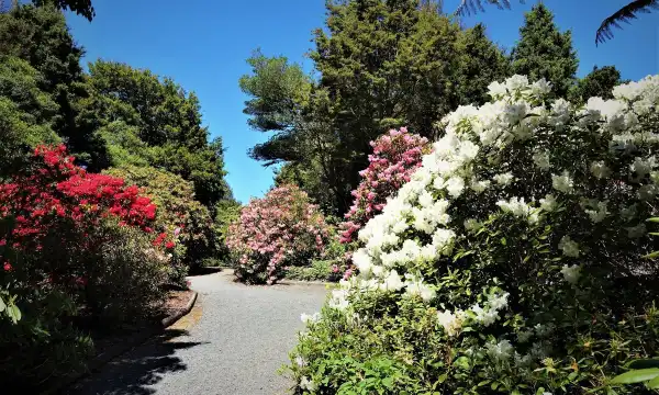 Hotels near Waipahihi Botanical Reserve