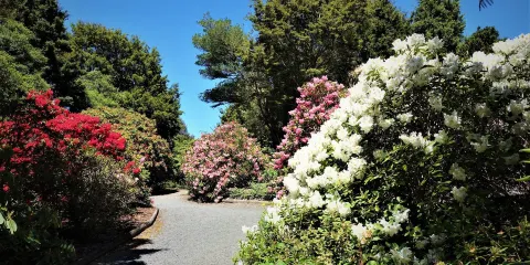 Waipahihi Botanical Gardens