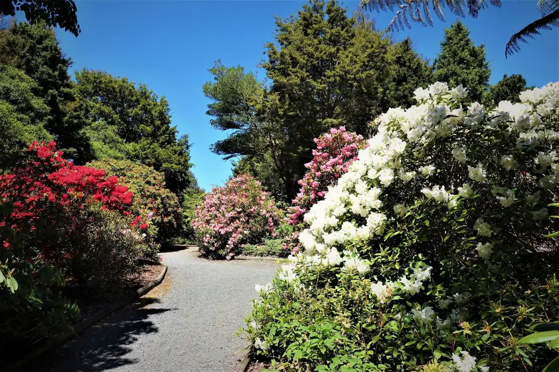 Hotels near Waipahihi Botanical Reserve