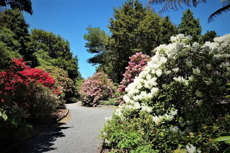 Hotels near Waipahihi Botanical Reserve