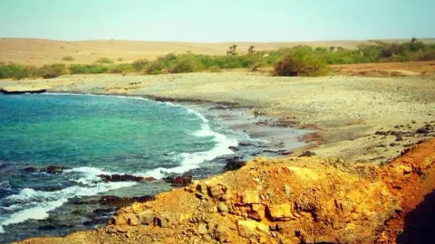 Palmeira travel destination