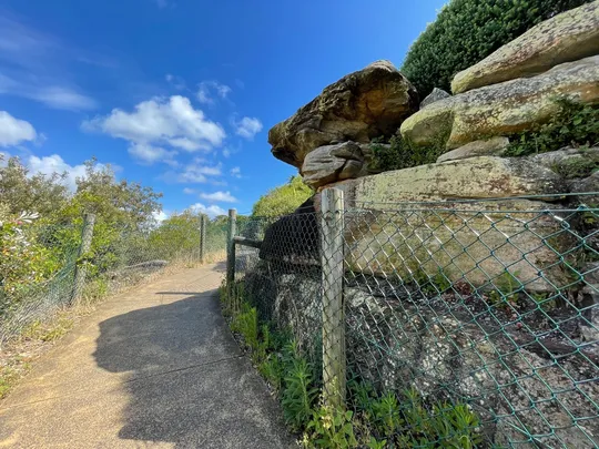 5_玫瑰灣至尼爾森公園漫步