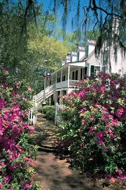 Hotels in Midway