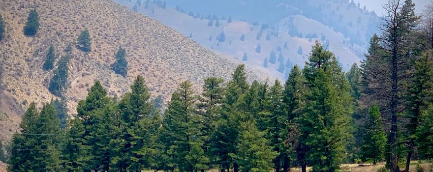 Sawtooth Adventure Company