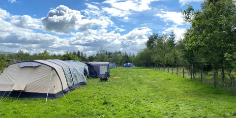 Bowland Wild Boar Park