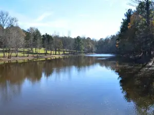 Battle of Musgrove Mill State Historic Site