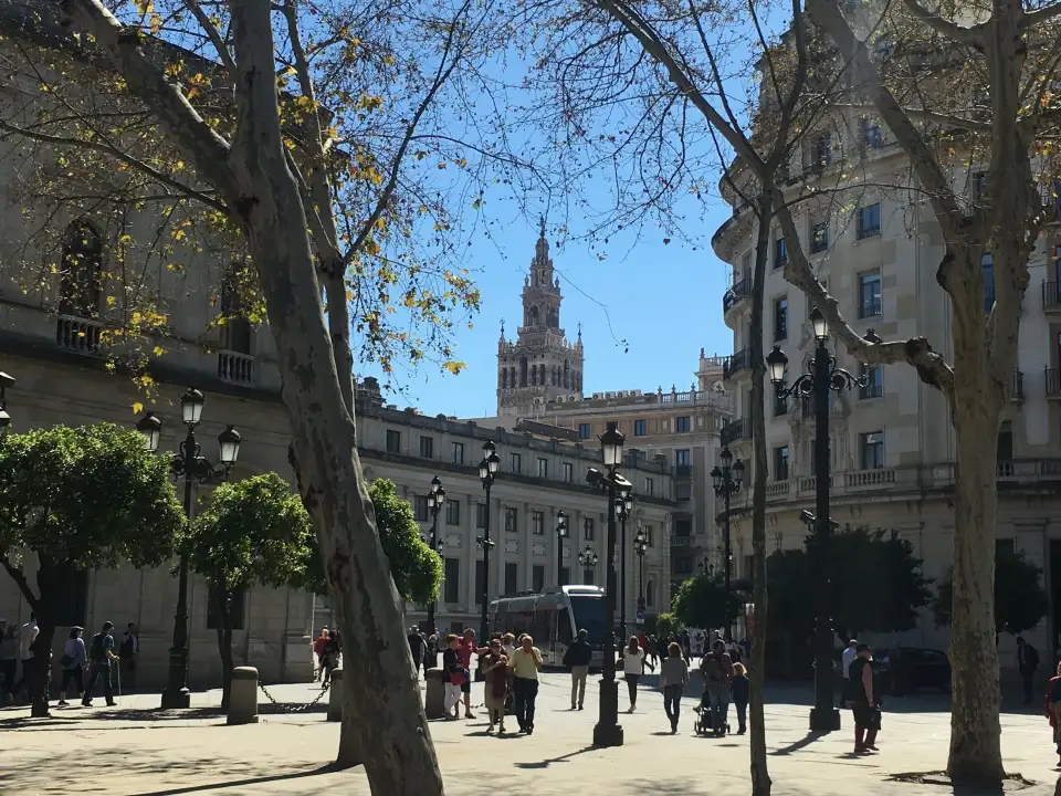 5_Plaza Nueva