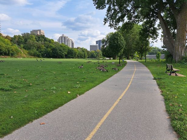 Harris Park