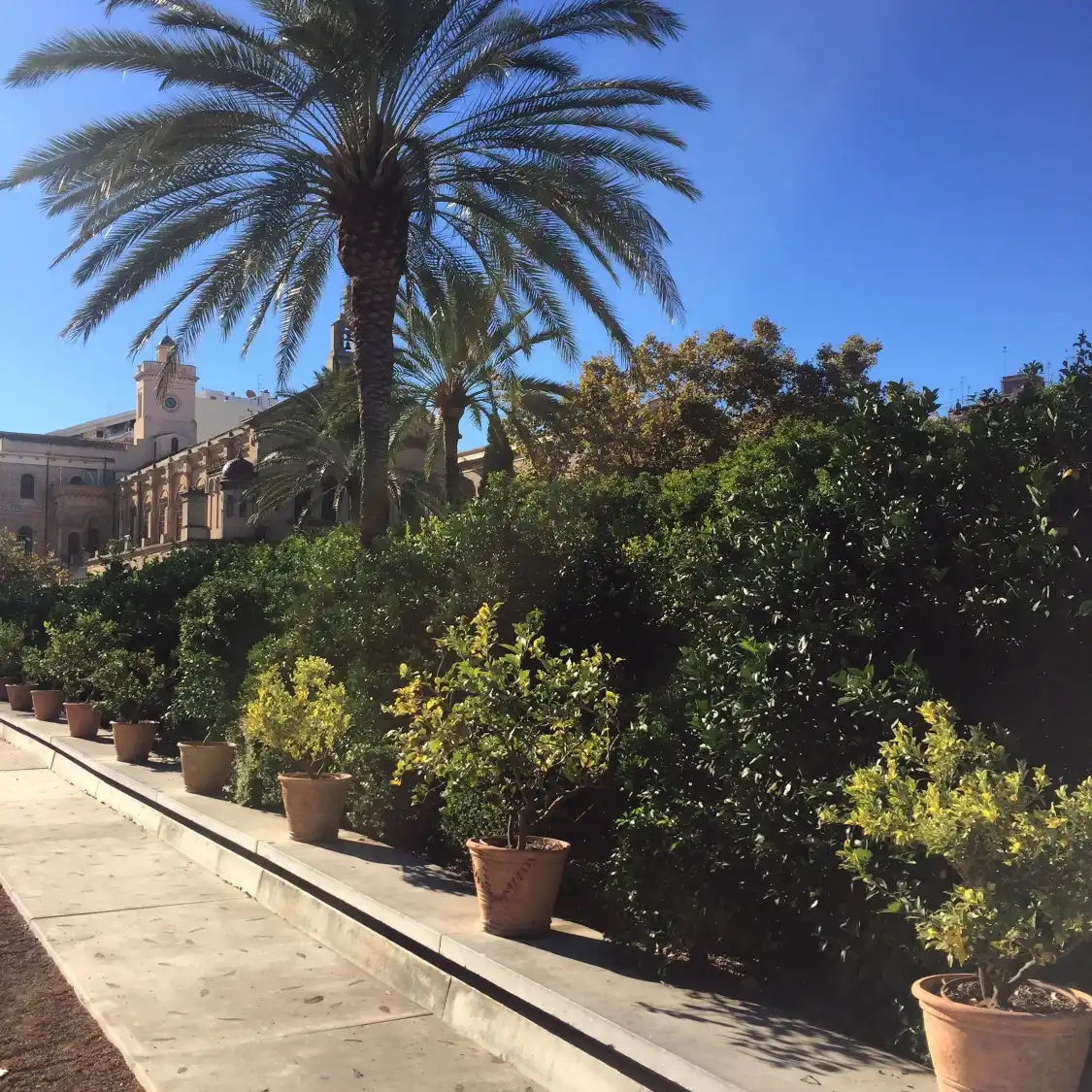 Hotel in zona Giardino delle Esperidi