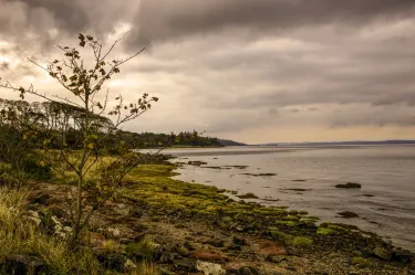 Lunderston Bay