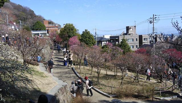 Okamoto Bairin Park