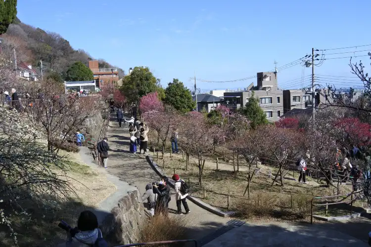Hotels near Okamoto Bairin Park