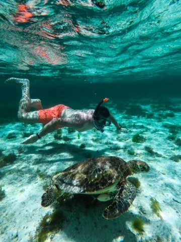 テール＝ド＝バ