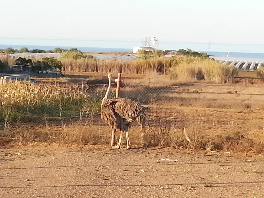 4_Famagusta Viewpoint