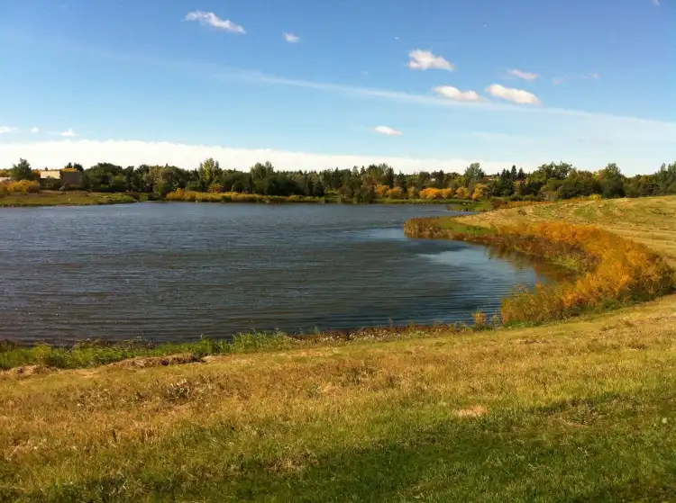Hotels near AE Wilson Park