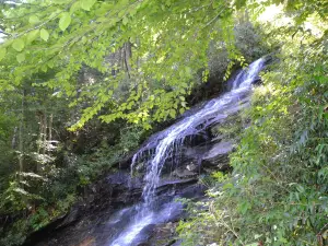 E.B. Jeffress Park-The Cascades Trail