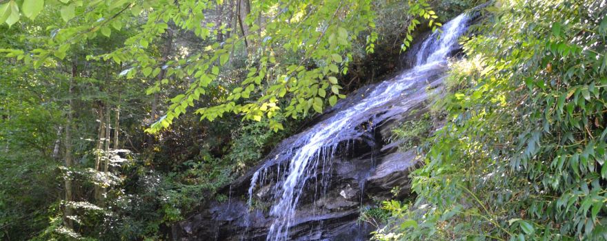 E.B. Jeffress Park-The Cascades Trail
