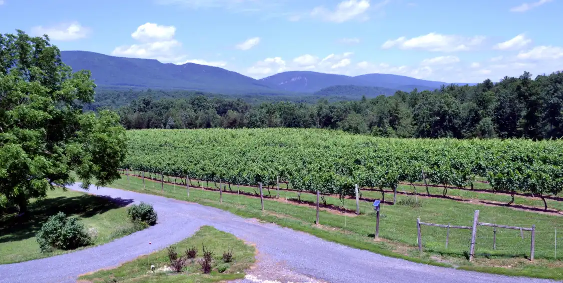 Hotels near Cedar Creek Winery LLC