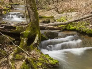 Don Carter State Park
