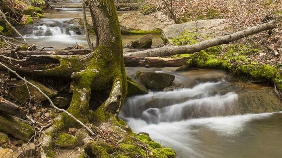 Don Carter State Park