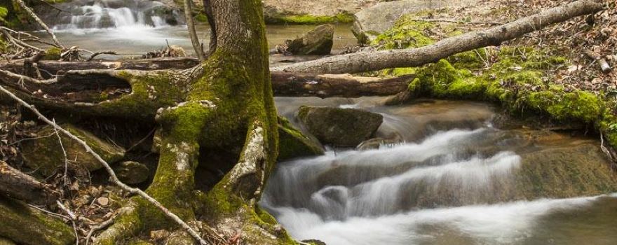 Don Carter State Park