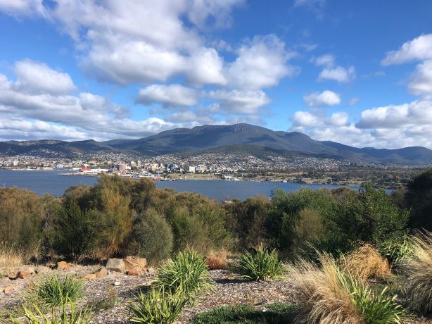 Rosny Hill Lookout