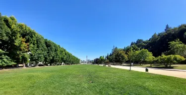 Университет Консепсьон