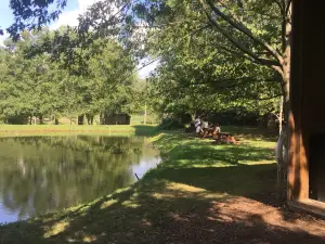Brant's Apple Orchard