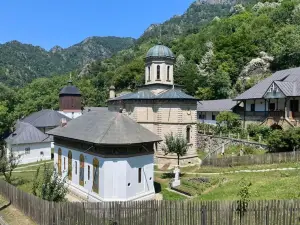 Turnu Monastery