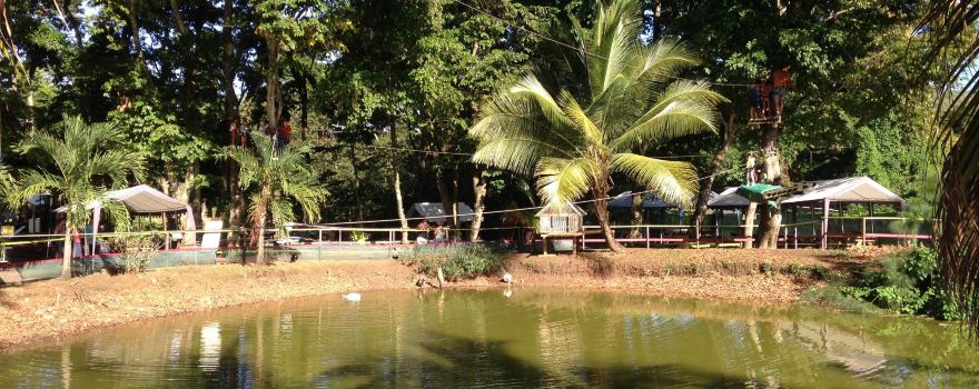 LION'S PARC