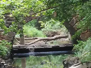 Wintersmith Park