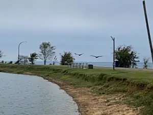 Lake Palestine