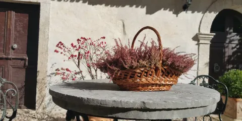 Museo del Pianoforte Antico