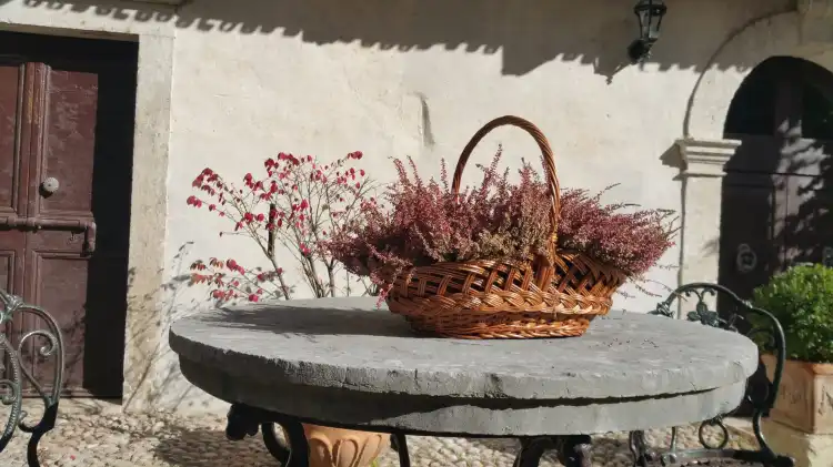 Ala