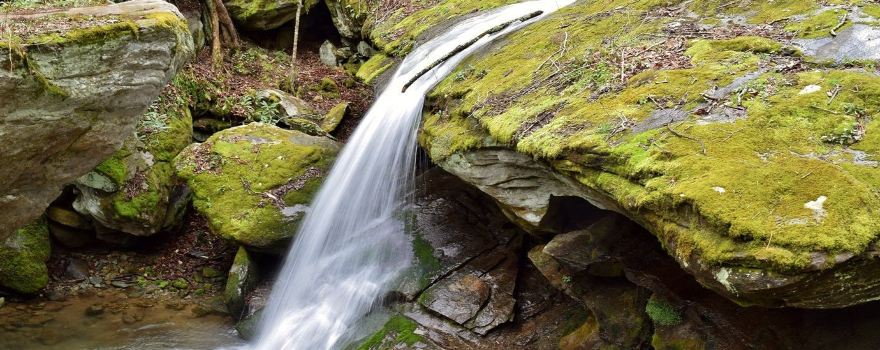 Otter Falls Trail