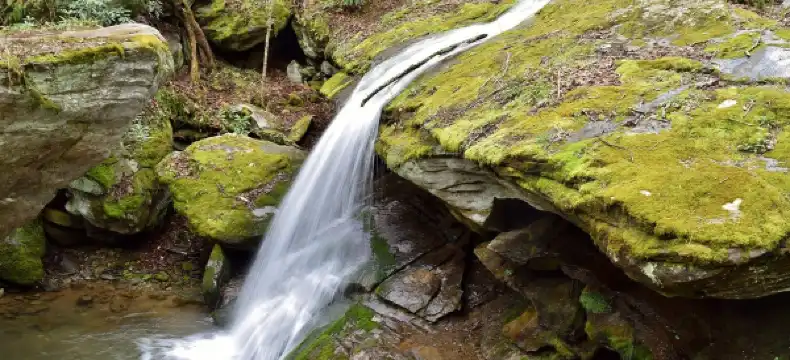 Hotels in Seven Devils