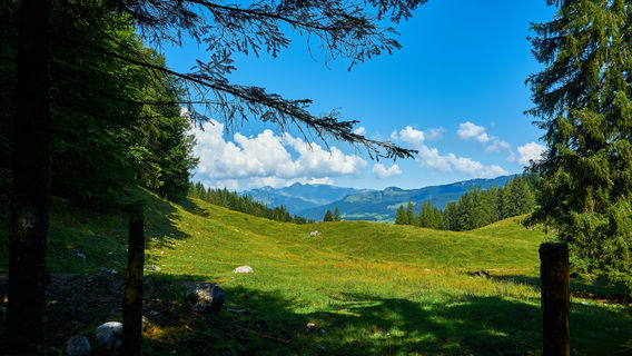 Kossen