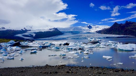 Fjallsarlon Iceberg Lagoon