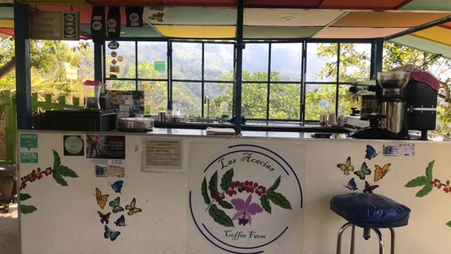 Las Acacias Coffee Farm