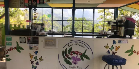 Las Acacias Coffee Farm
