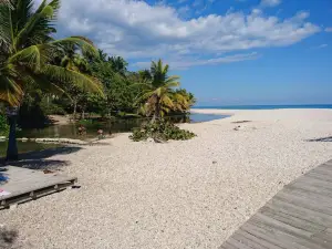 Playa De Los Patos