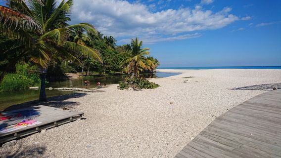Barahona